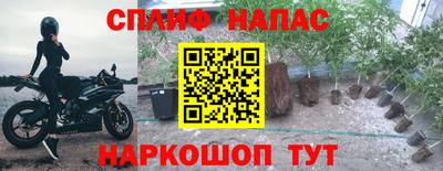 mdpv Ставрополь