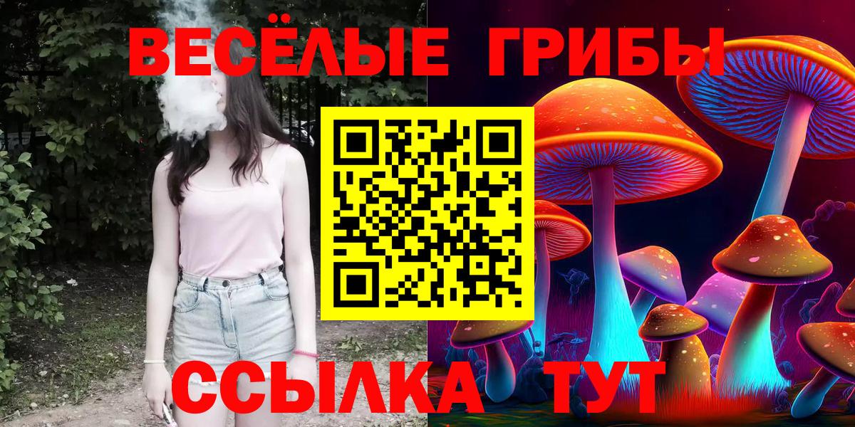 Псилоцибиновые грибы мицелий Омск