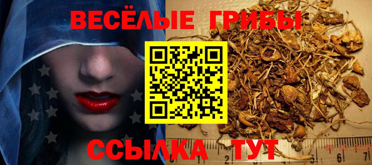 Омск  цена   Вход с VPN  Галлюциногенные грибы Cubensis  Галлюциногенные грибы Psilocybe 